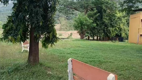 The greenery around the school. This is J.C.M.M. SCHOOL'S official page .All the parents, students,…